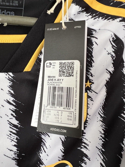 Fagioli Juventus Jersey 23/24 Away Soccer Shirt Adidas IB0490 Boys Size XL